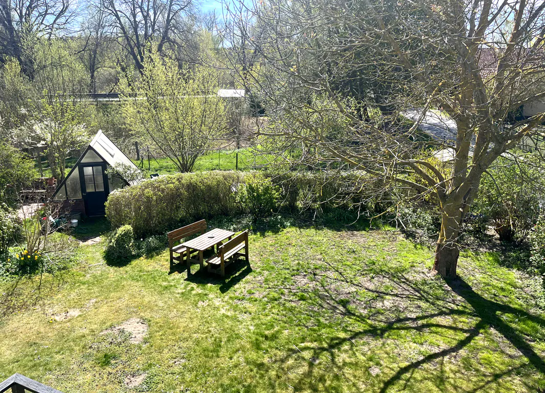 A backyard with a picnic table, a greenhouse, and a large tree casting shadows on the green grass.