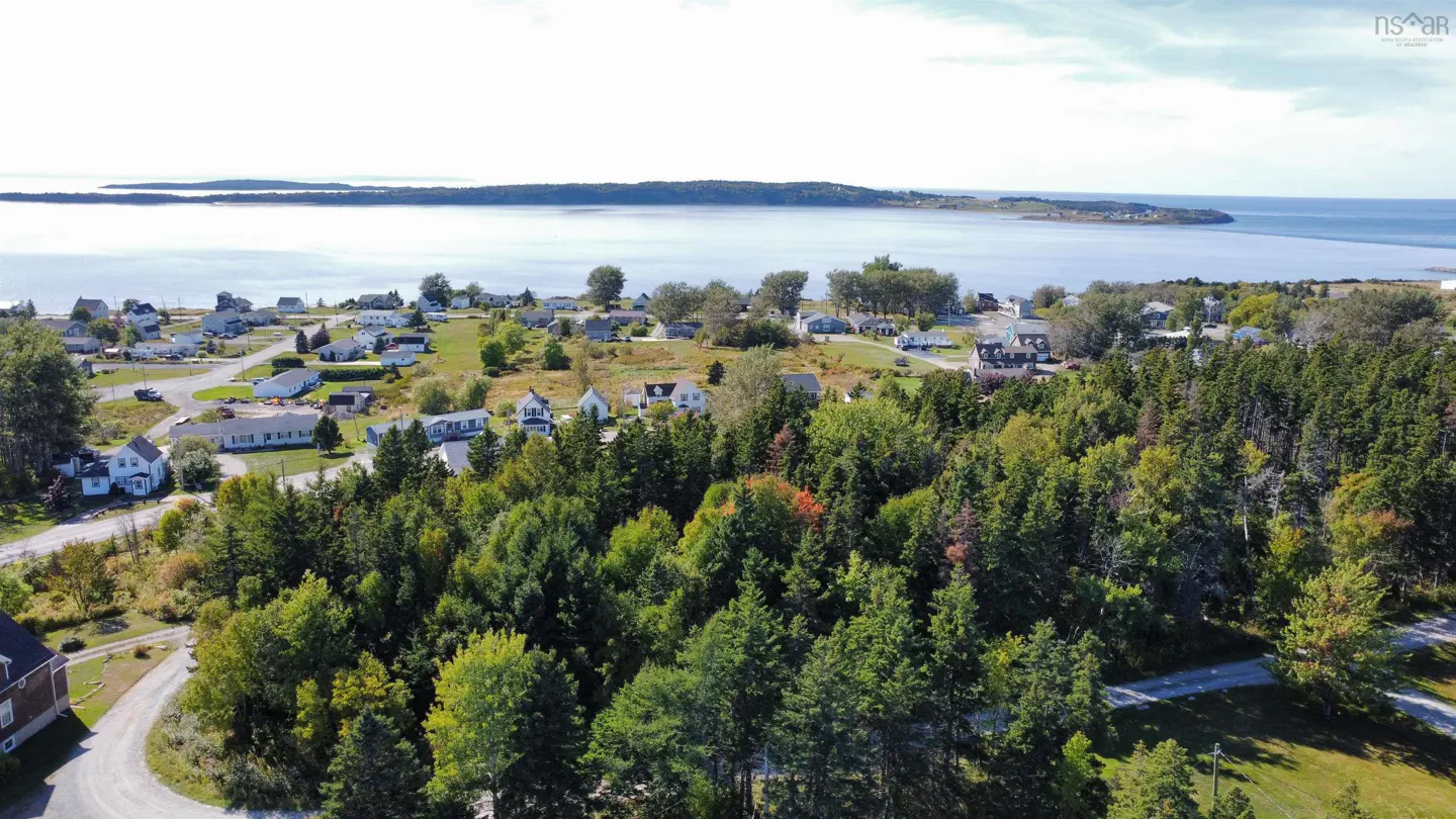 Aerial view of a coastal town with houses, green trees, and blue water in the background.