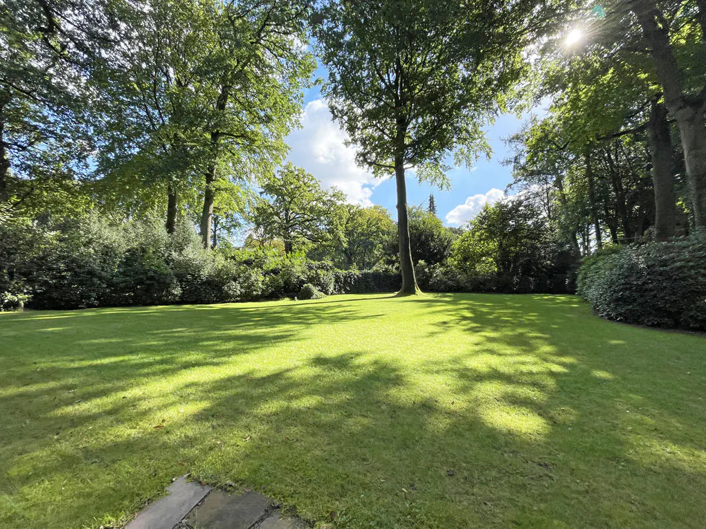 A large green lawn is surrounded by tall trees under a blue sky with scattered clouds. Sunlight filters through the leaves, creating shadows on the grass.