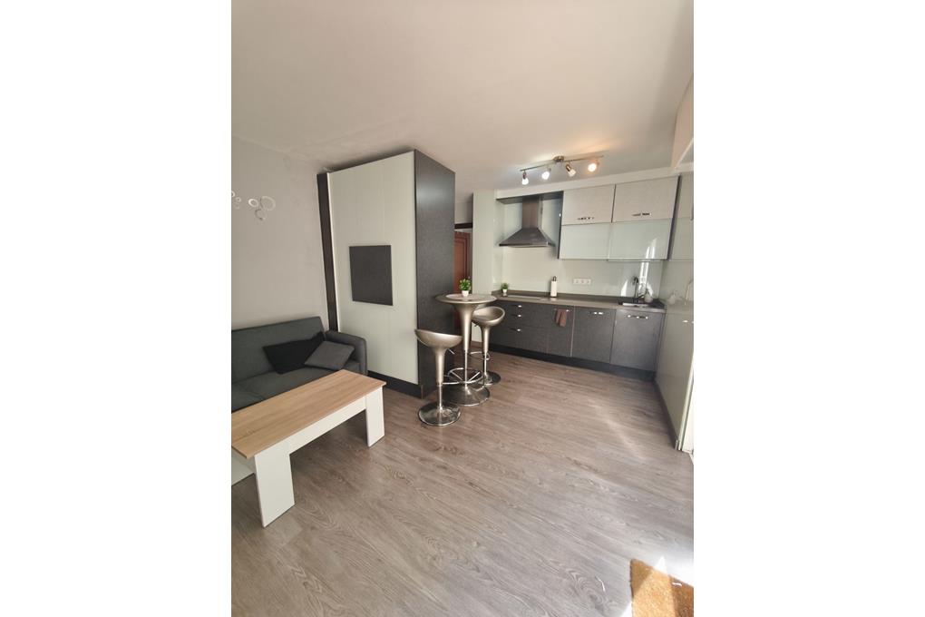 E&V rents a furnished one-bedroom apartment in the Ensanche