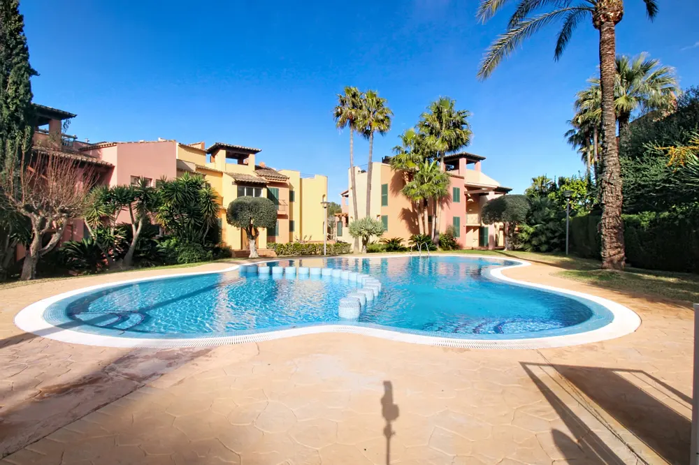 Outdoor pool with blue water and stepping stones, surrounded by tan stone. Multi-colored buildings and palm trees in the background.