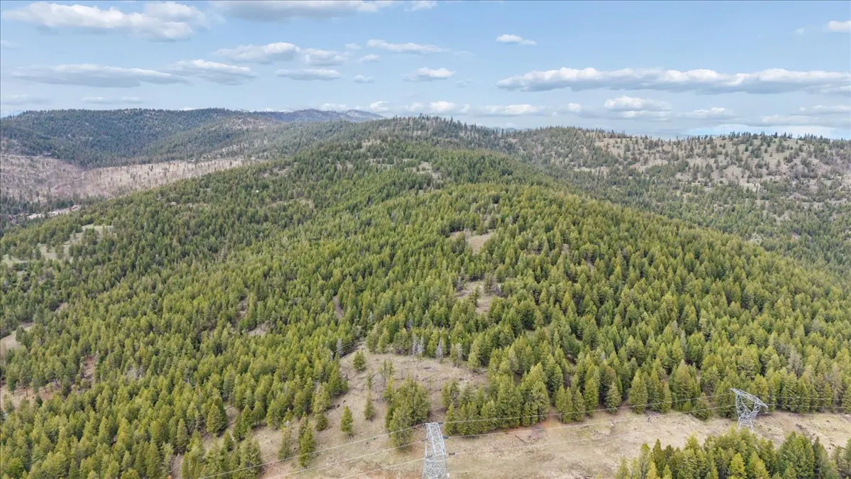 Aerial view of a green, tree-covered mountain range under a blue sky with scattered white clouds. Power lines run across the foreground.