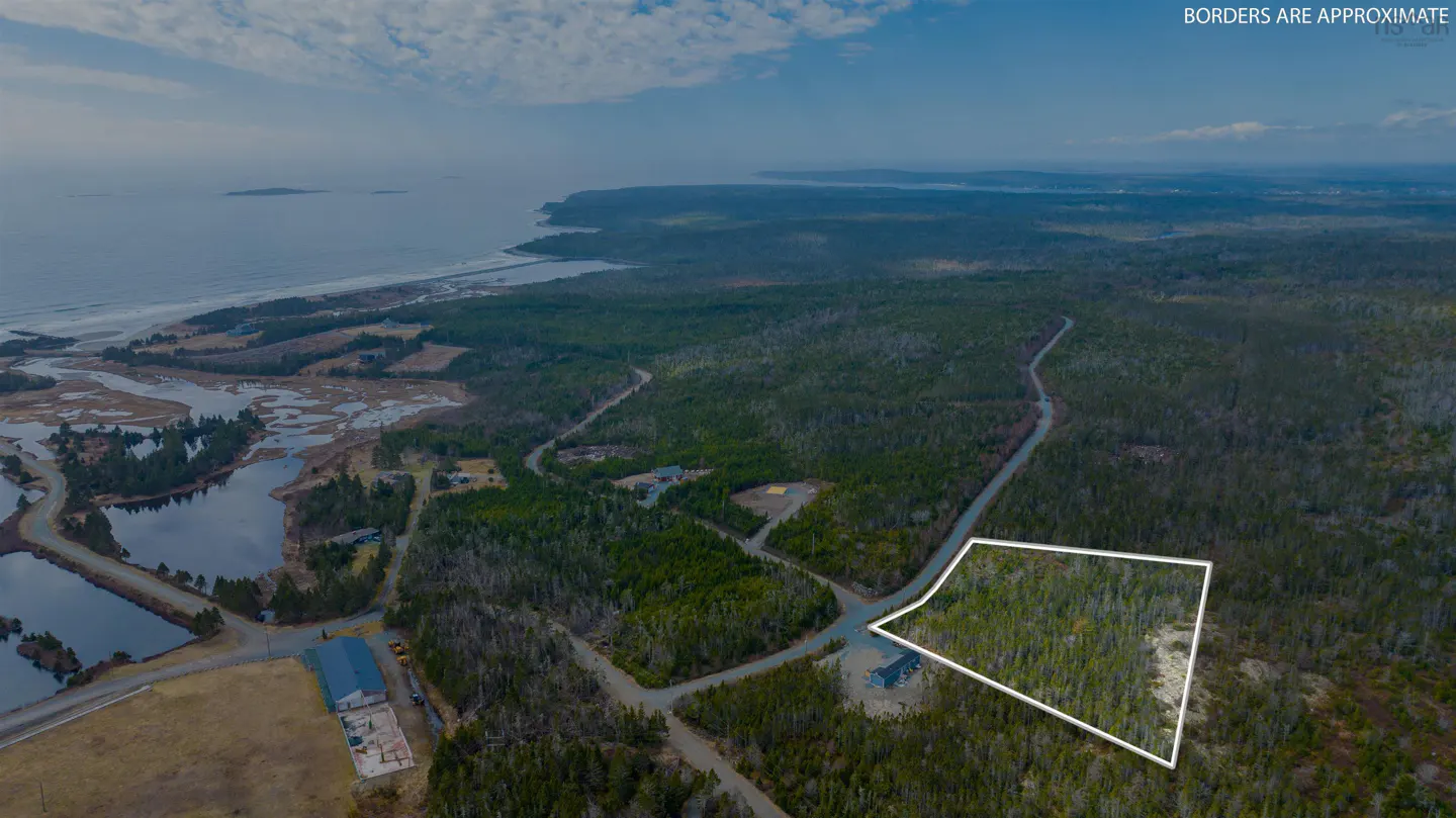 Aerial view of a wooded lot outlined in white, near the ocean and a road.