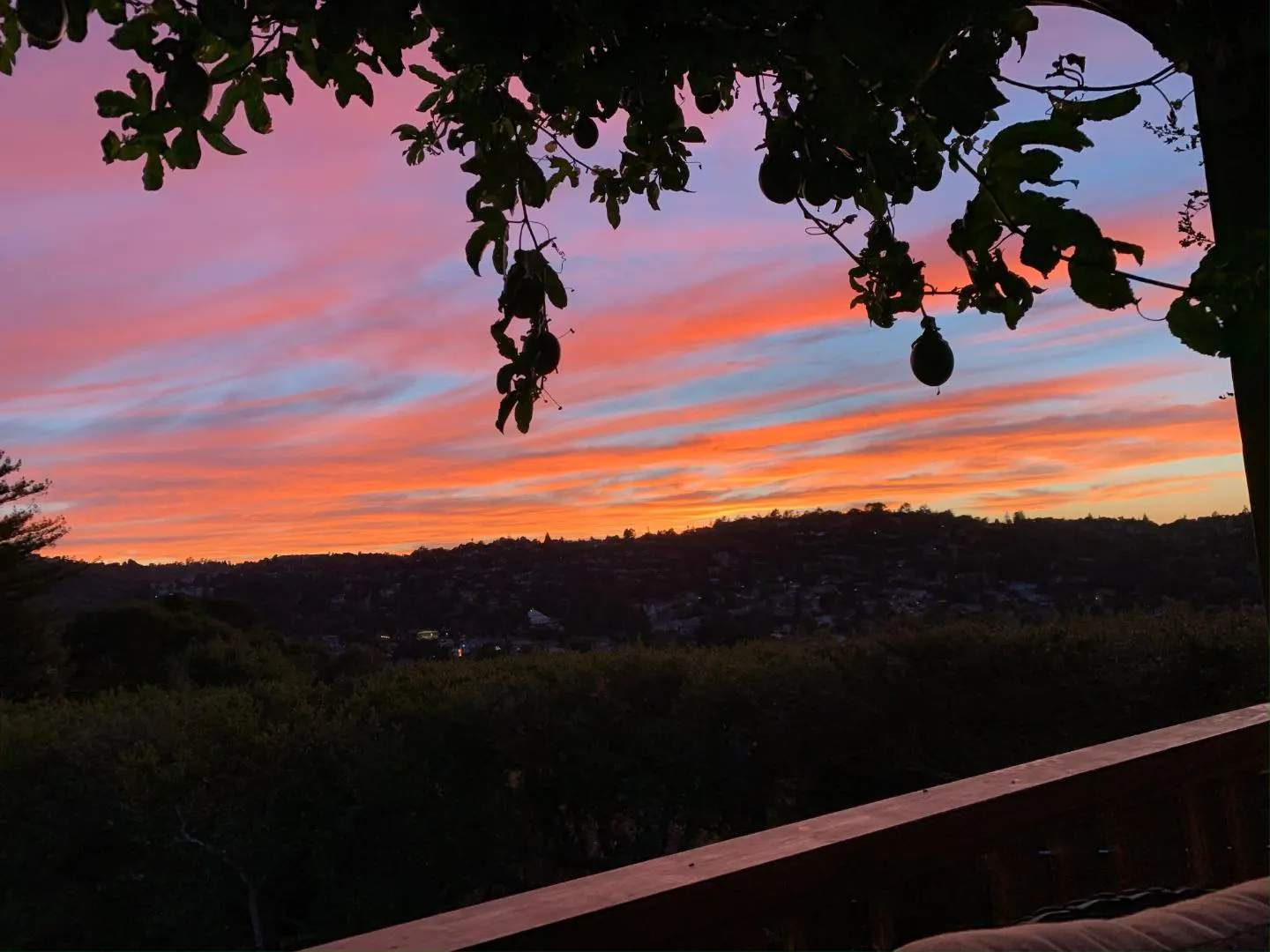 Sunset view from a deck, with orange and blue sky. Silhouetted trees and hills in the distance. Passionfruit vine in the foreground.