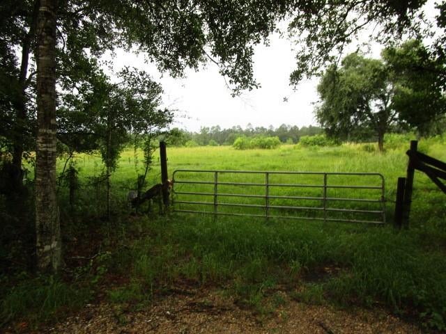 Over 40 Acres of Mostly Cleared Pasture Land