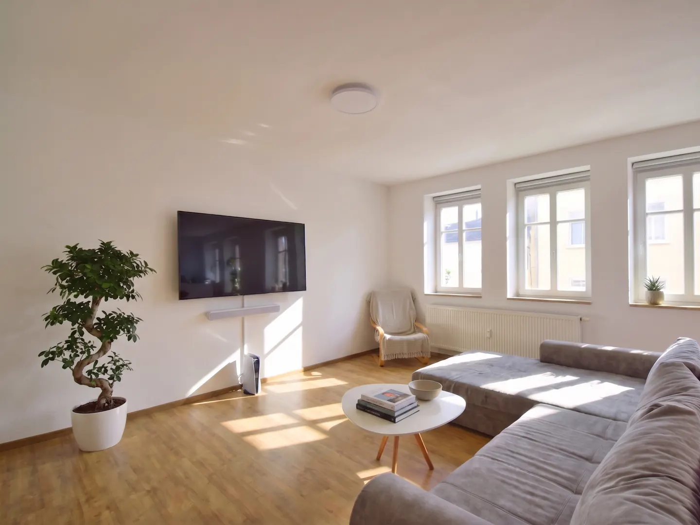 Bright living room with wood floors, white walls, and a gray sectional sofa. A flat-screen TV hangs above a bonsai tree. Three windows let in natural light.
