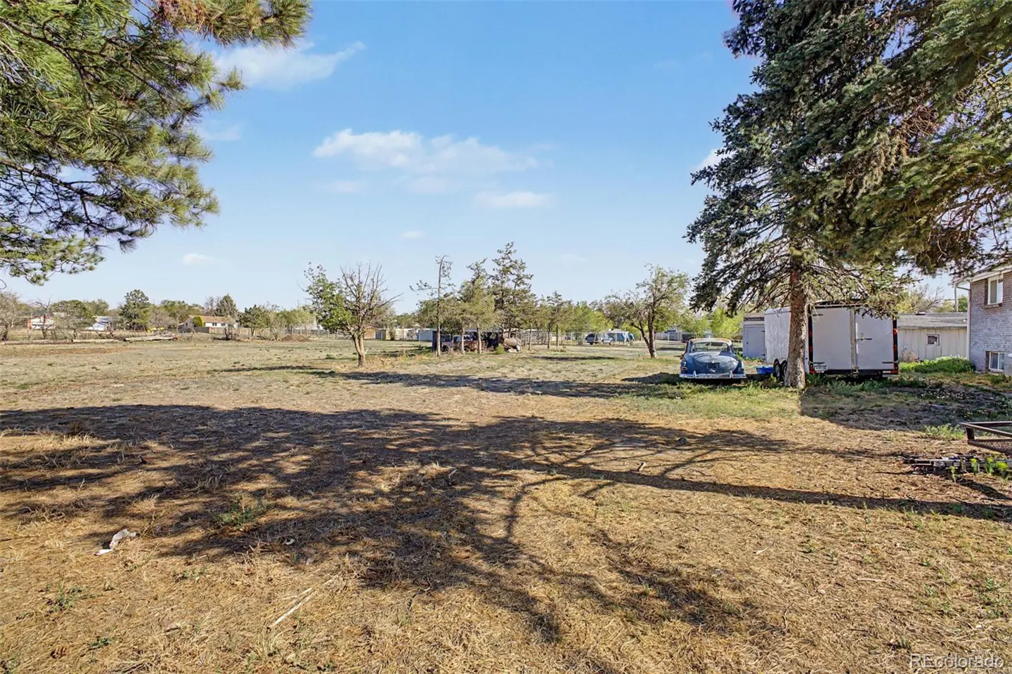 A large, dry, grassy lot with trees, a blue car, and a white trailer under a blue sky.