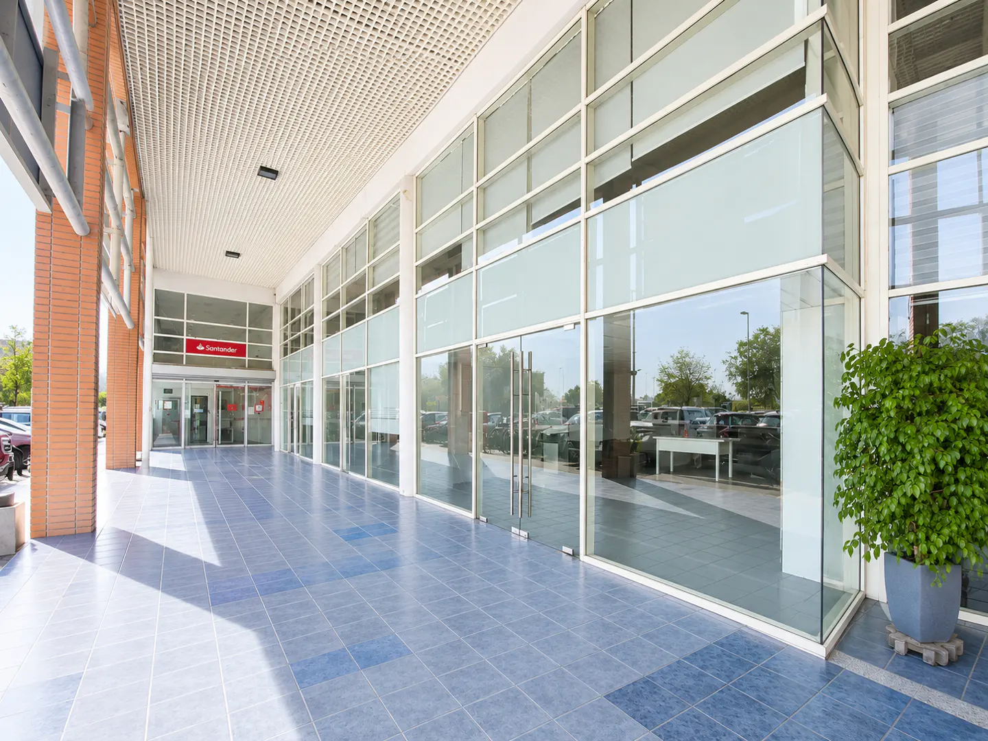 Modern commercial building exterior with a blue tiled walkway, glass storefronts, and a large potted plant.