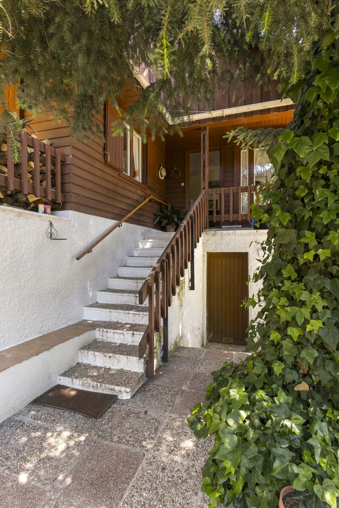 Exterior view of a brown wood-sided house with white stairs leading to the front door, and green ivy.