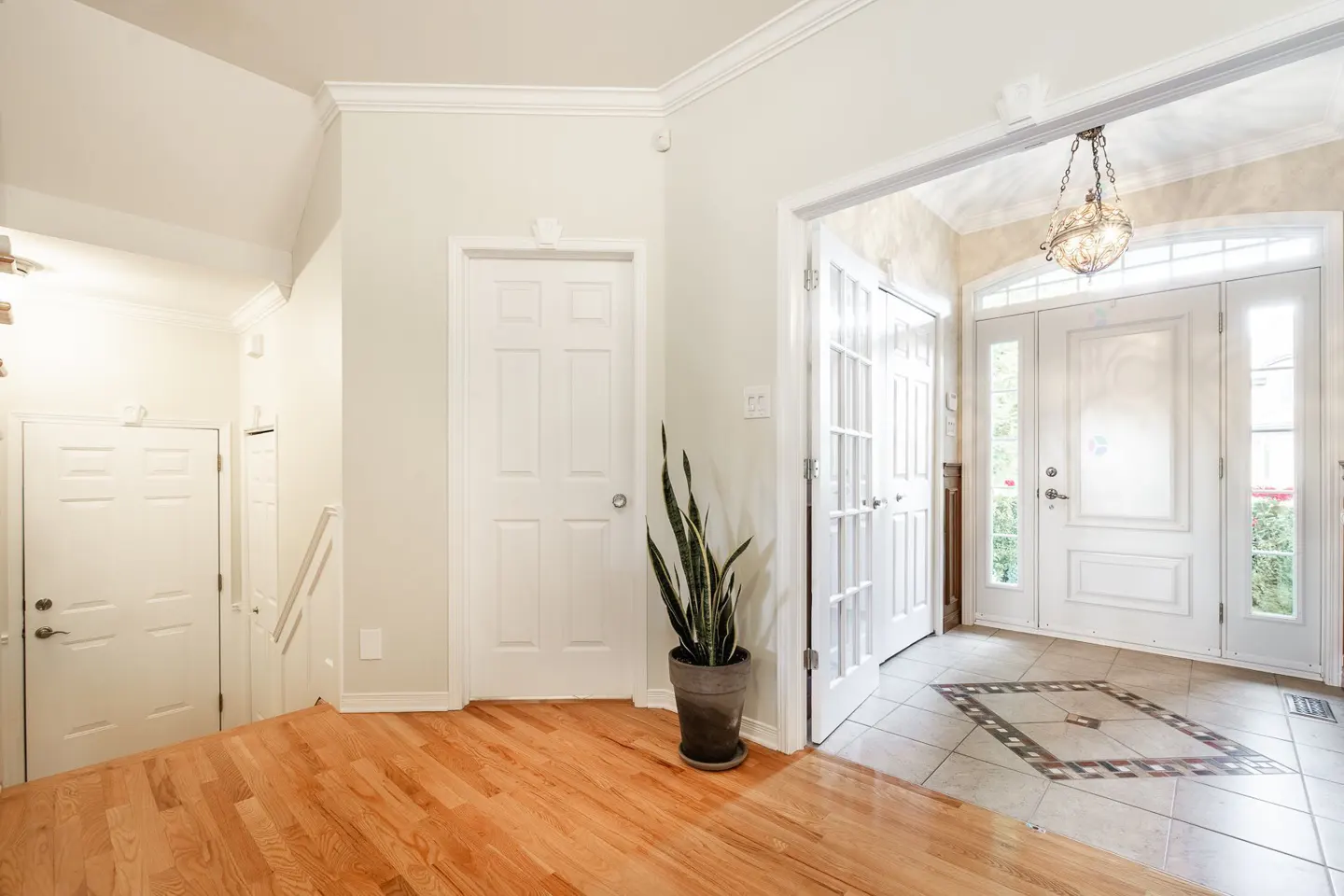 Bright foyer with hardwood floors, white walls, and doors. A potted snake plant sits near a door. A chandelier hangs above the front door.