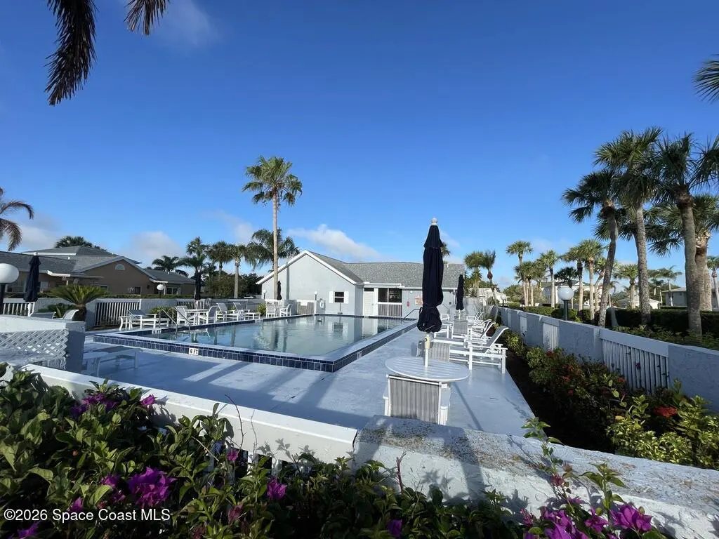 Outdoor pool area with blue water, white lounge chairs, and black umbrellas. Palm trees and buildings in the background under a clear blue sky.