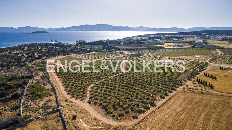 Wonderful Plot with Sea View in Voutakos, Paros