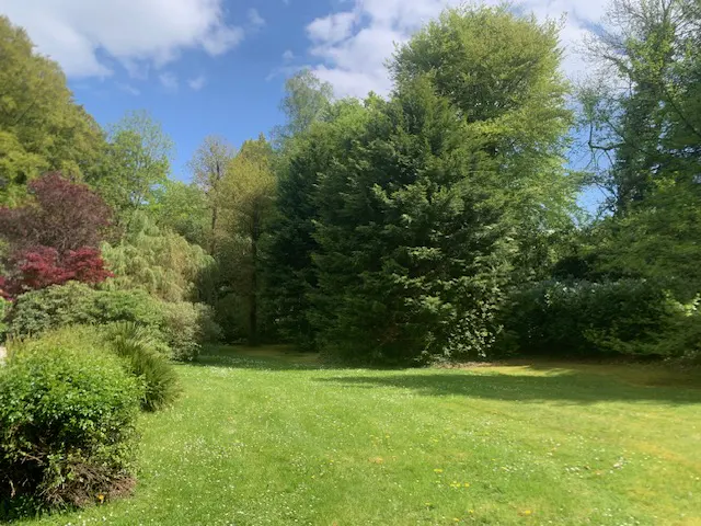 Lush green lawn surrounded by trees and bushes under a blue sky with white clouds.