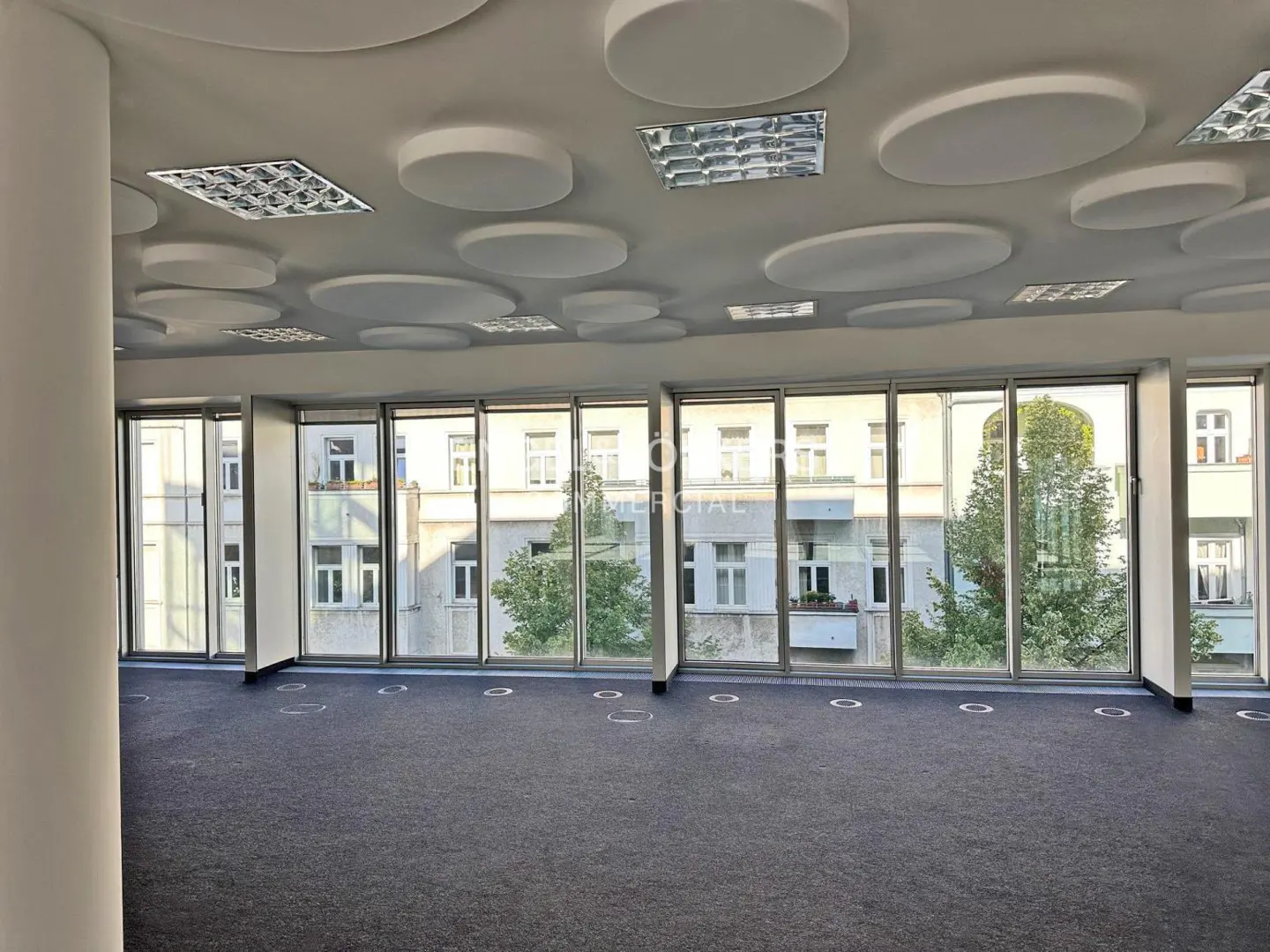 Empty office space with blue carpet, white walls, and large windows. The ceiling has round white soundproofing panels and fluorescent lights.