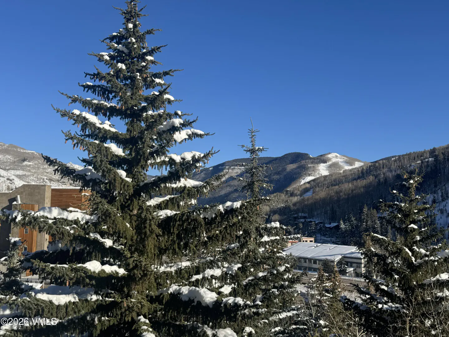 Snowy evergreen trees frame a mountain view with buildings below under a clear blue sky.