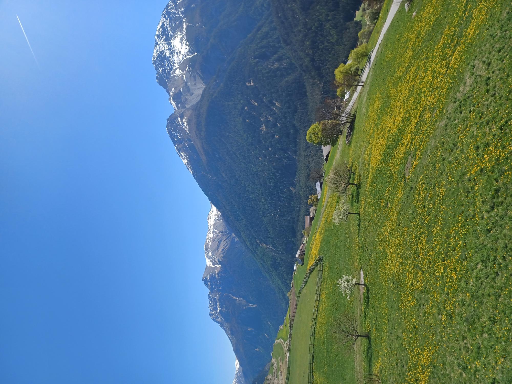 Alpiner Charme und unverbaubares Bergpanorama
