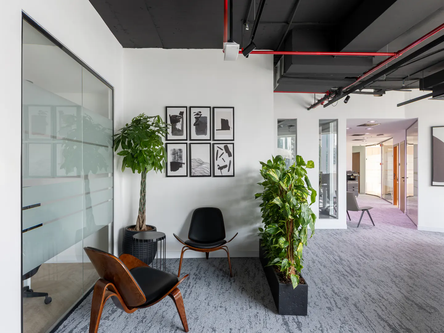 Office interior with gray carpet, black ceiling, white walls, and plants. Two chairs face the viewer. Six framed pictures hang on the wall.
