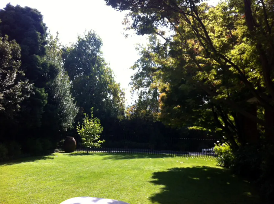 Lush green lawn with trees and a large brown pot in a backyard setting.