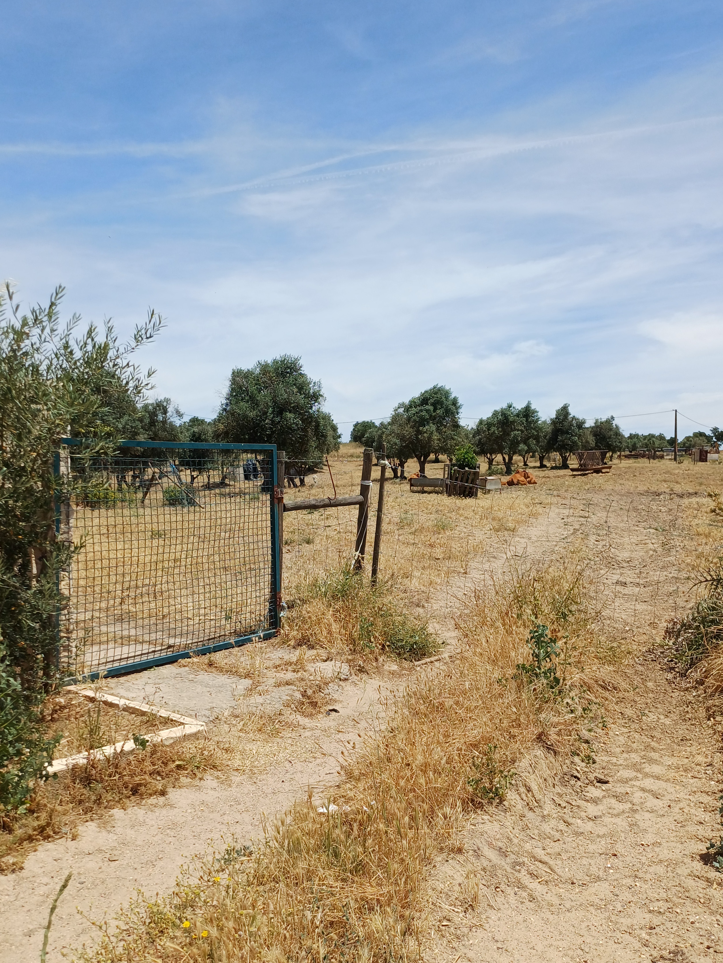Property at Herdade da Misericórdia