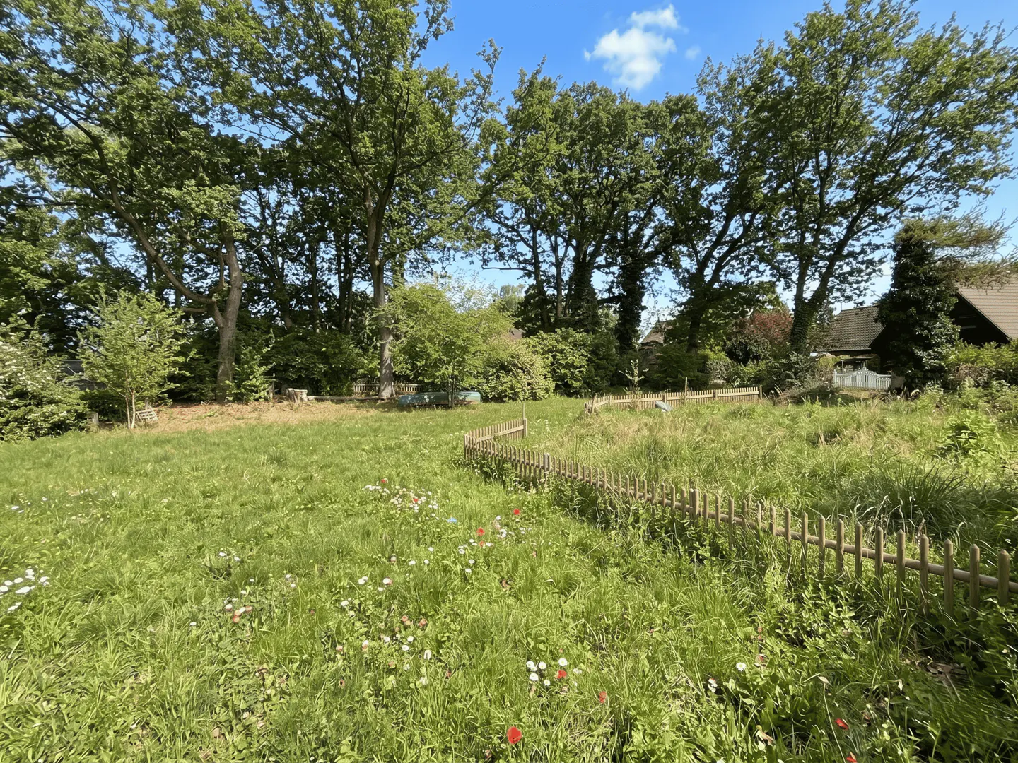 A grassy yard with wildflowers and a small wooden fence, backed by tall trees and a blue sky.
