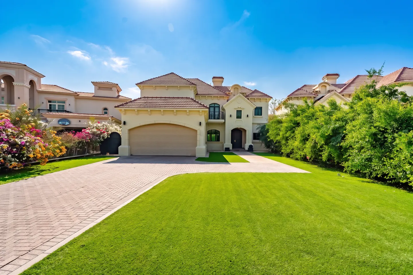 [AI-generated photo]