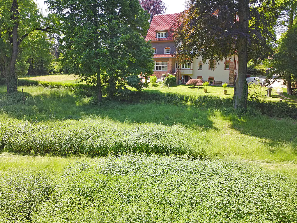 Exterior view of a large house with a red roof, surrounded by green trees and a grassy lawn.