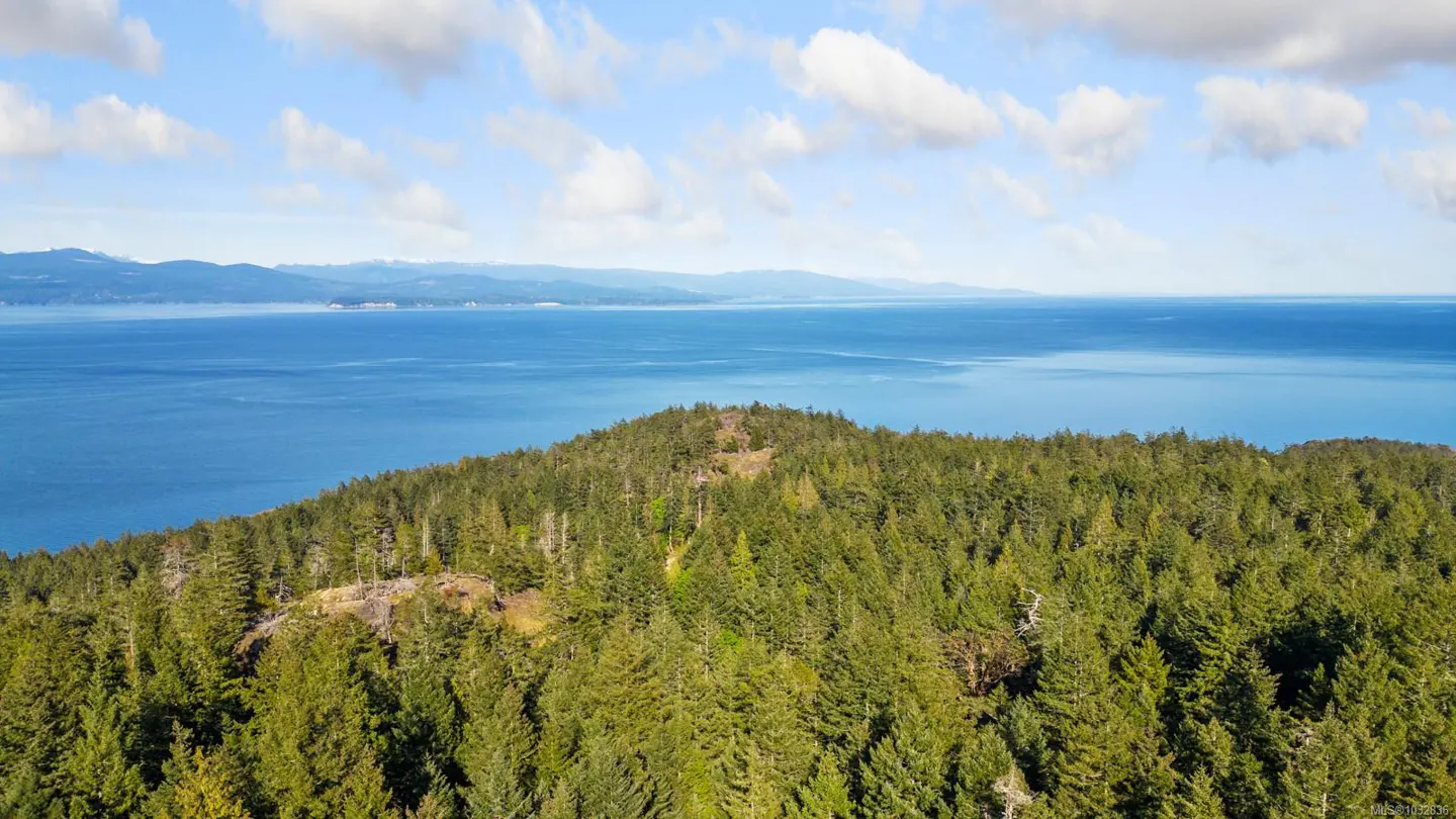 Aerial view of a green, tree-covered hill overlooking a blue ocean under a partly cloudy sky.