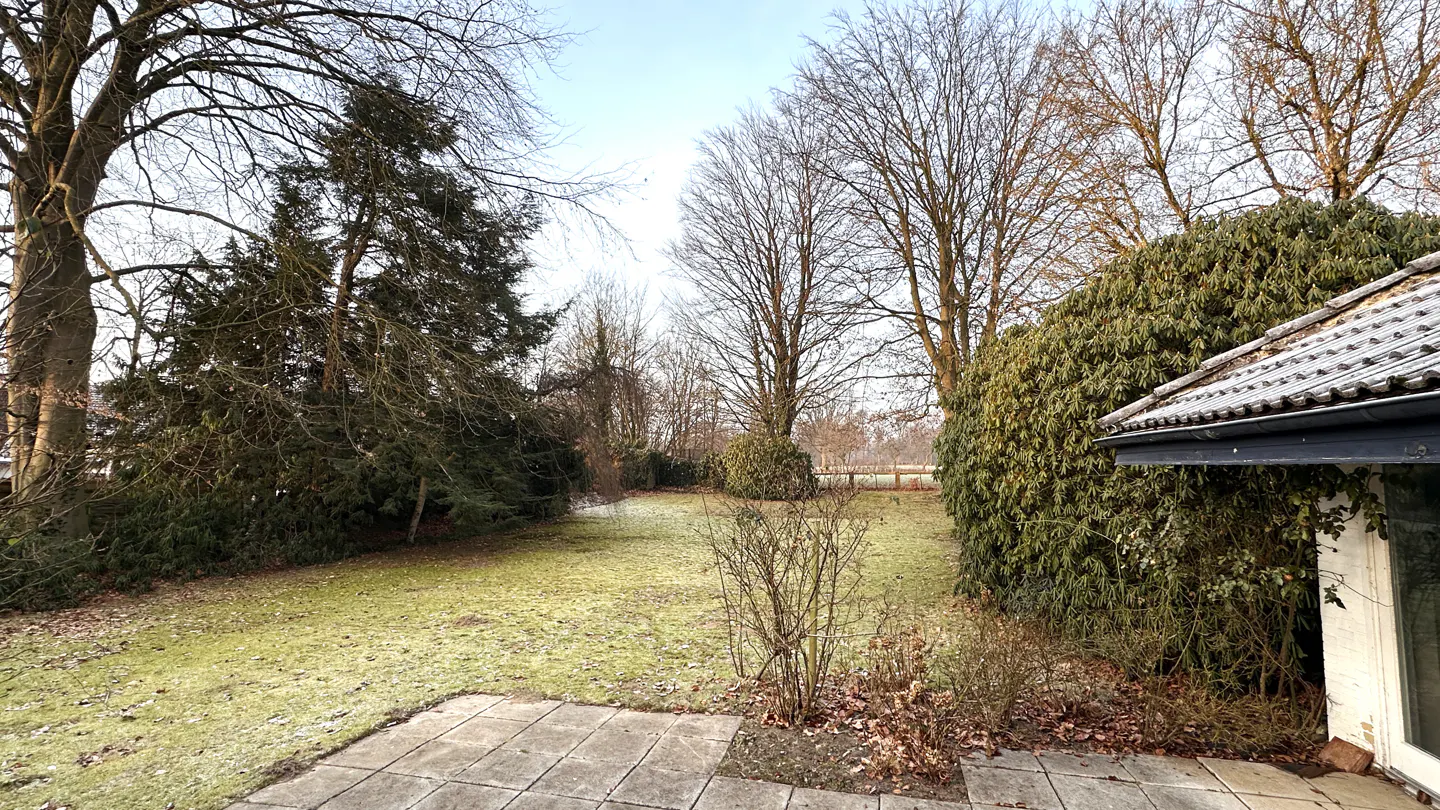 A backyard with a green lawn, trees, and a stone patio. The roof of a building is visible on the right.