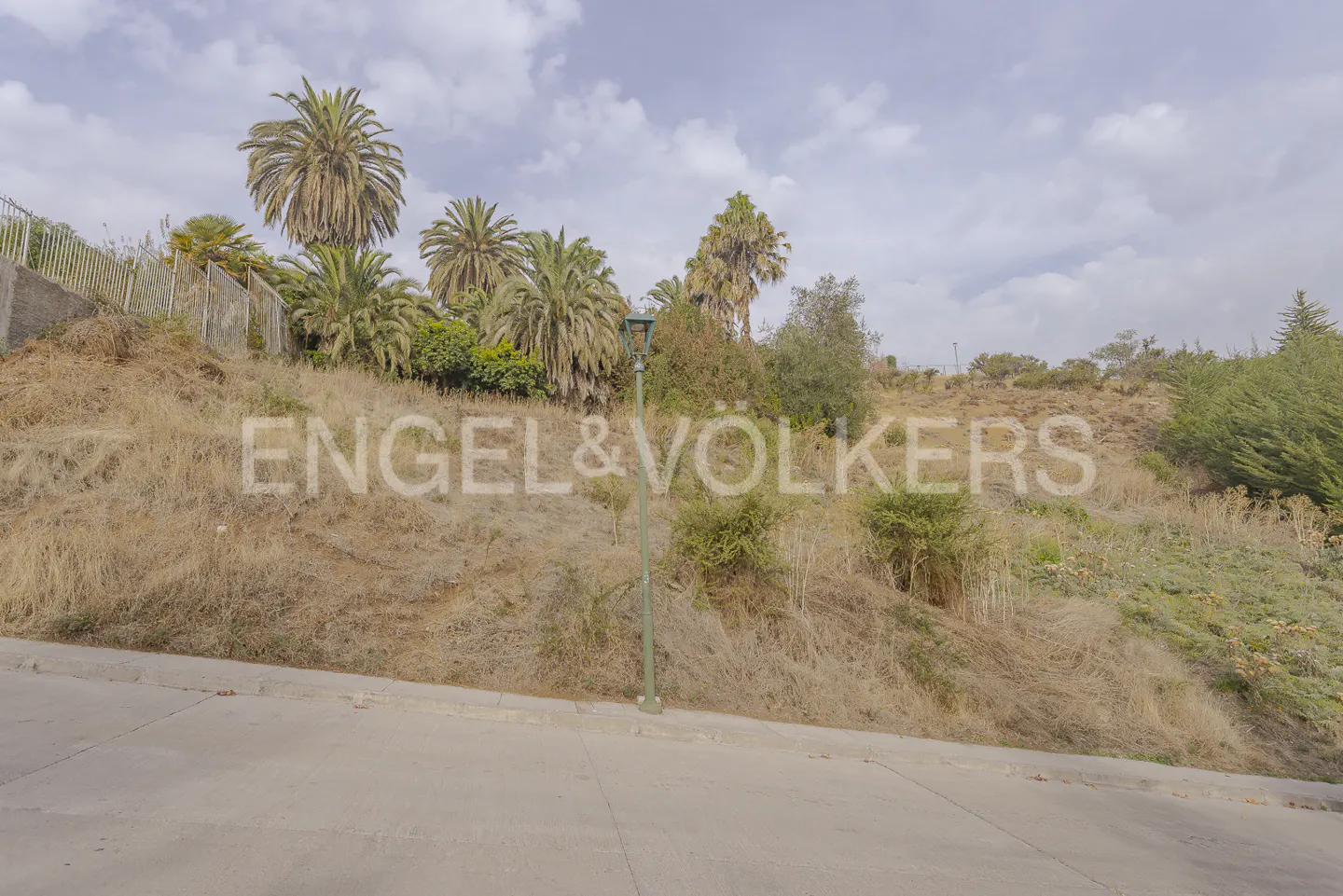 Street view of a hillside with palm trees and dry grass under a cloudy sky. A green lamppost stands on the hill. "Engel & Volkers" is overlaid on the image.