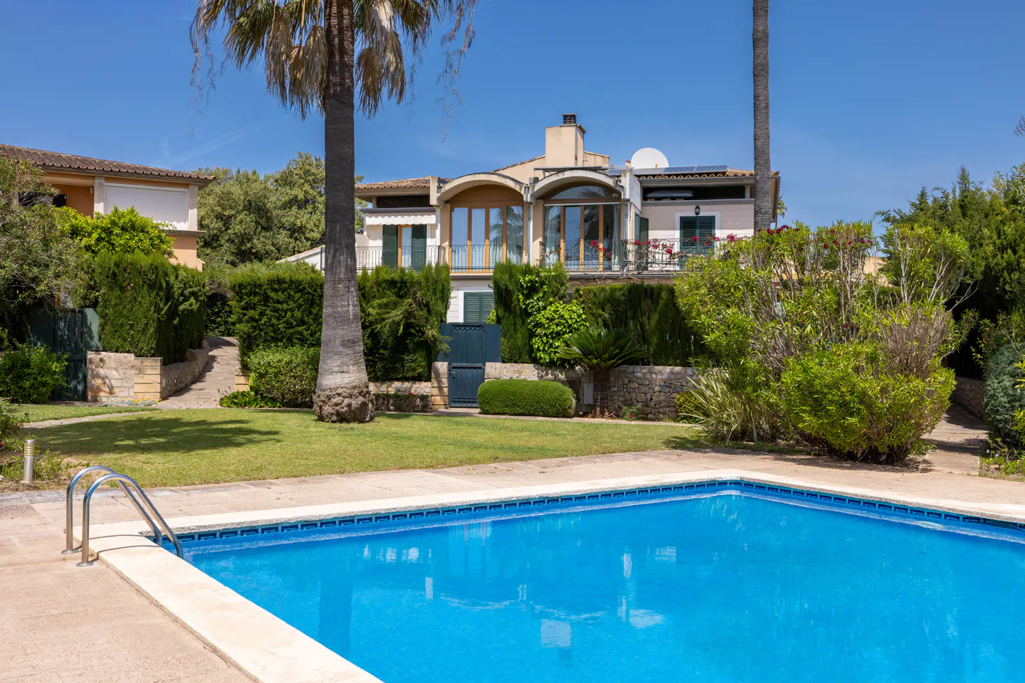 A bright blue swimming pool in front of a house with a palm tree and green lawn.