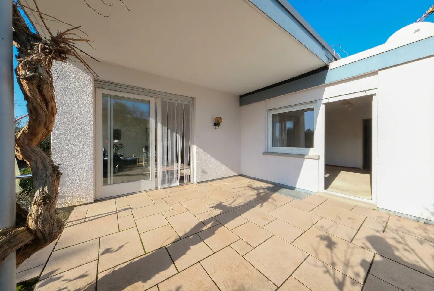 A sunny patio with beige stone tiles, white walls, and a sliding glass door. A bare tree trunk is visible on the left.