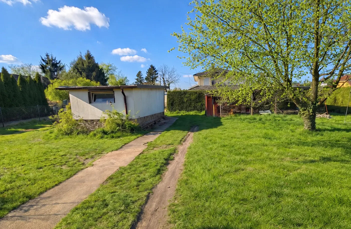 A sunny backyard with a shed, a dirt path, and a house in the background.