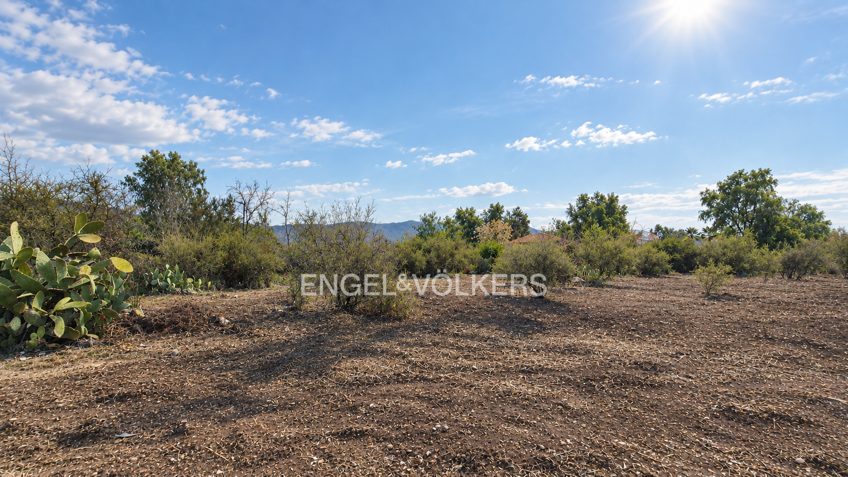 Polo Manquehue I | Terreno Plano de 5.000 m² No Perimetral