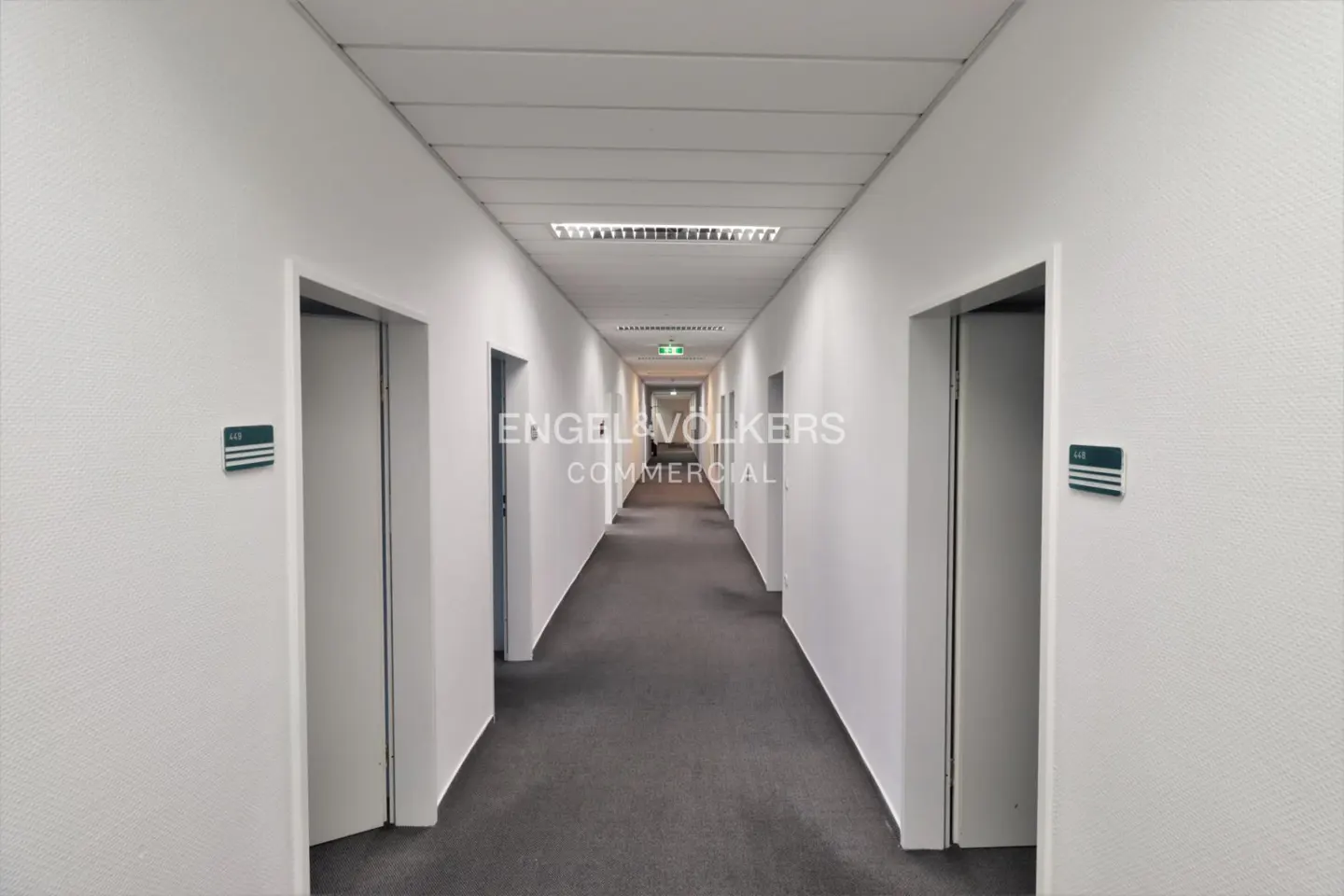 Long, bright office hallway with gray carpet, white walls, and closed doors. Room number signs are visible.