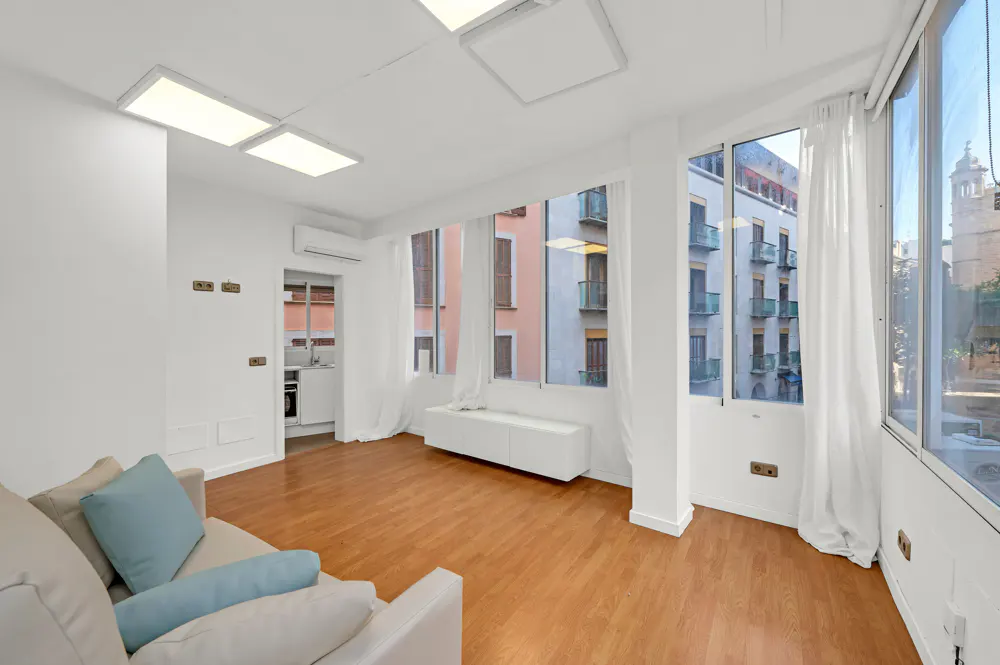 Bright living room with wood floors, a beige sofa with blue pillows, white walls, and large windows overlooking a city street.