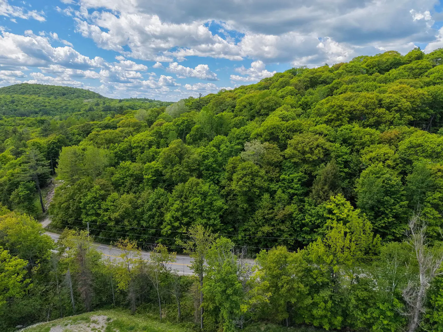 Aerial view of a lush green forest covering rolling hills next to a winding road under a bright blue sky with clouds.