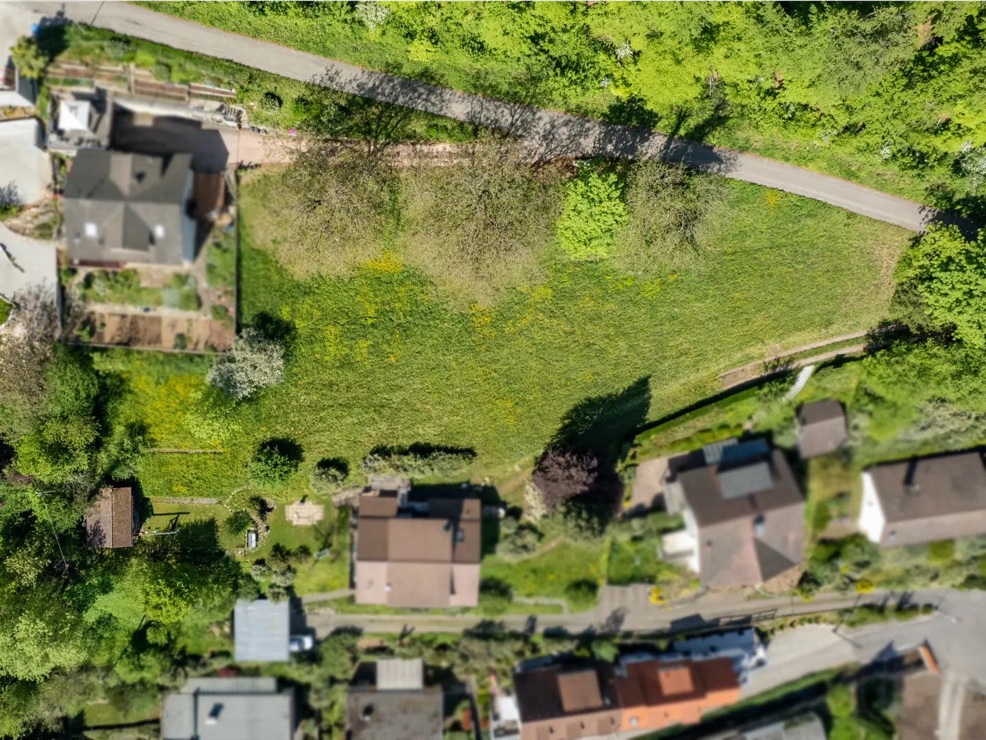 Aerial view of a large, grassy lot surrounded by houses and trees. A road runs along the top edge of the lot.