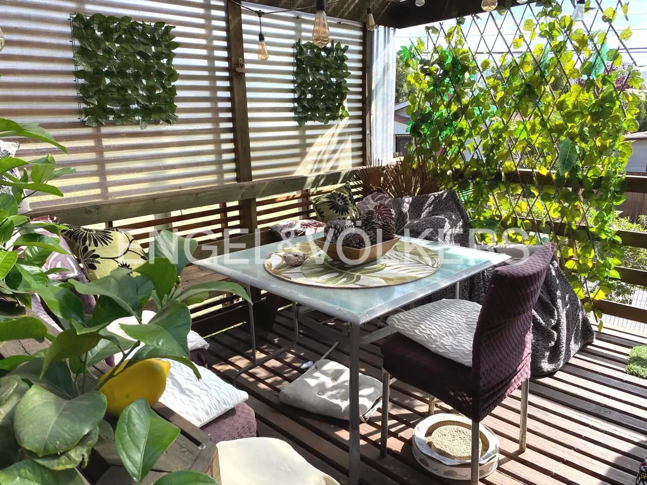 Outdoor dining area with a glass table, chairs, pillows, and green plants on a wooden deck.