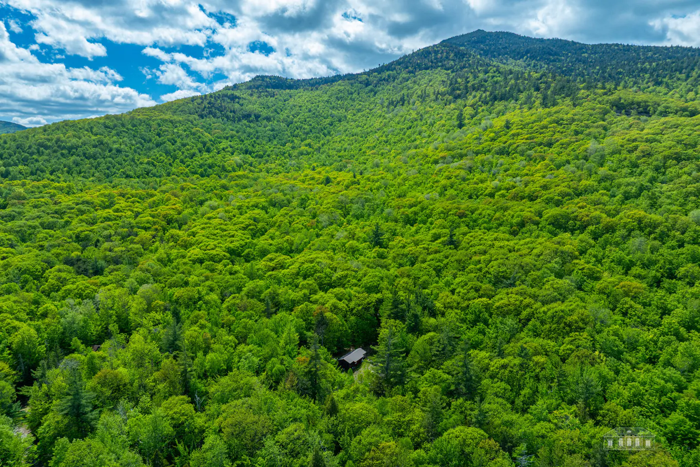 Aerial view of a small cabin nestled in a vast, lush green forest at the base of a large mountain under a cloudy sky.