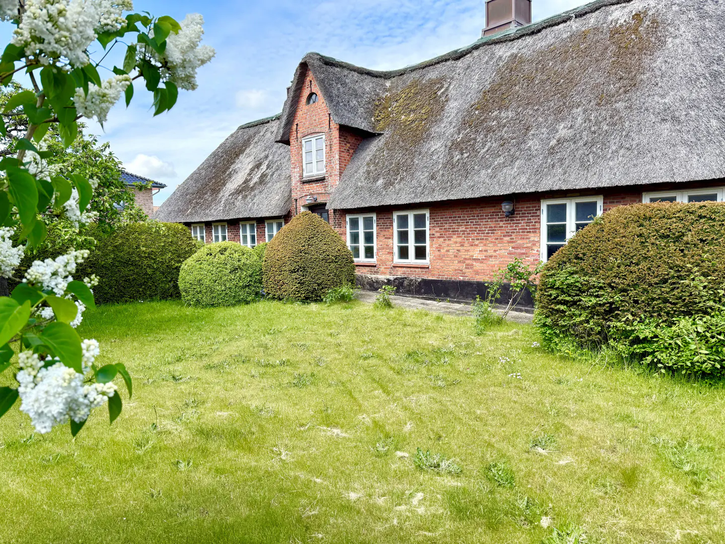 A charming red brick house with a thatched roof, surrounded by a green lawn, manicured hedges, and white lilac flowers.