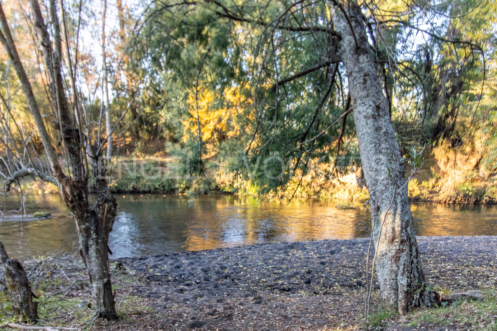 Parcelas a orillas del río Voipir en Ñancul Villarrica.