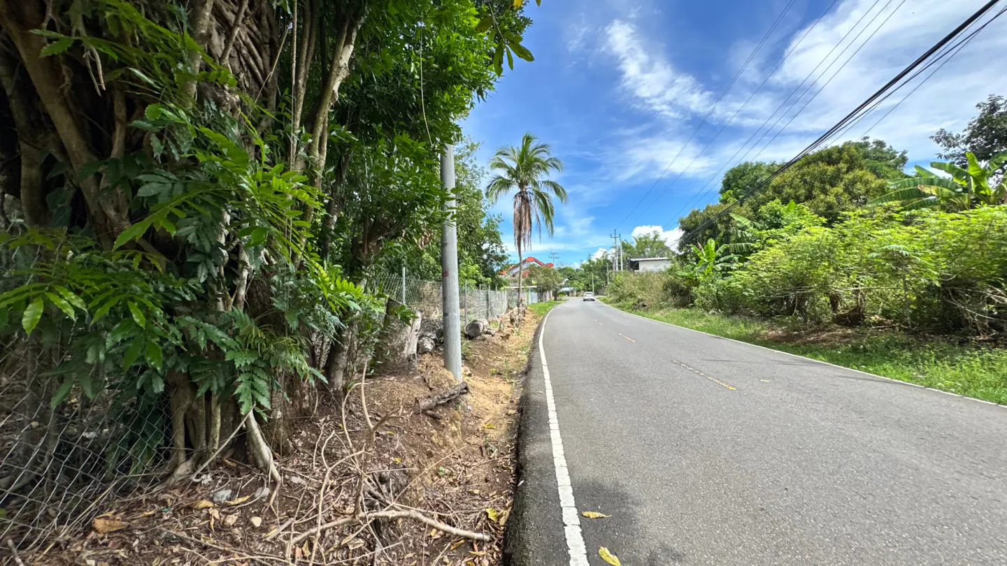 A gray asphalt road curves through a lush, green landscape under a blue sky with scattered clouds. A palm tree stands tall in the distance.