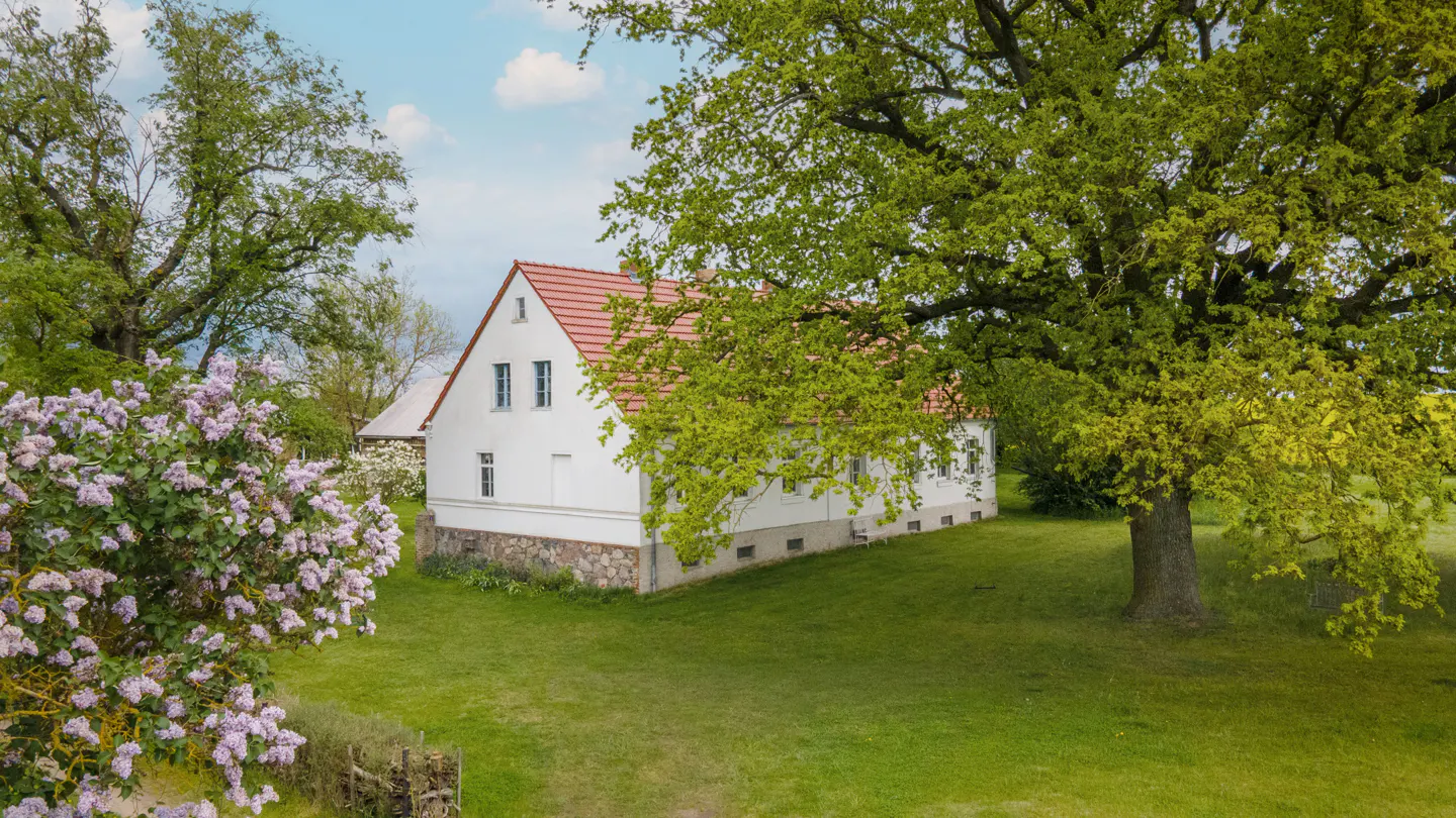 White house with a red roof, surrounded by green trees and a lilac bush on a grassy lawn.