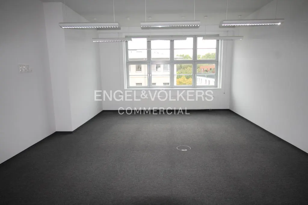 Empty office space with gray carpet, white walls, and a large window showing a building and trees. Overhead lighting fixtures are visible.