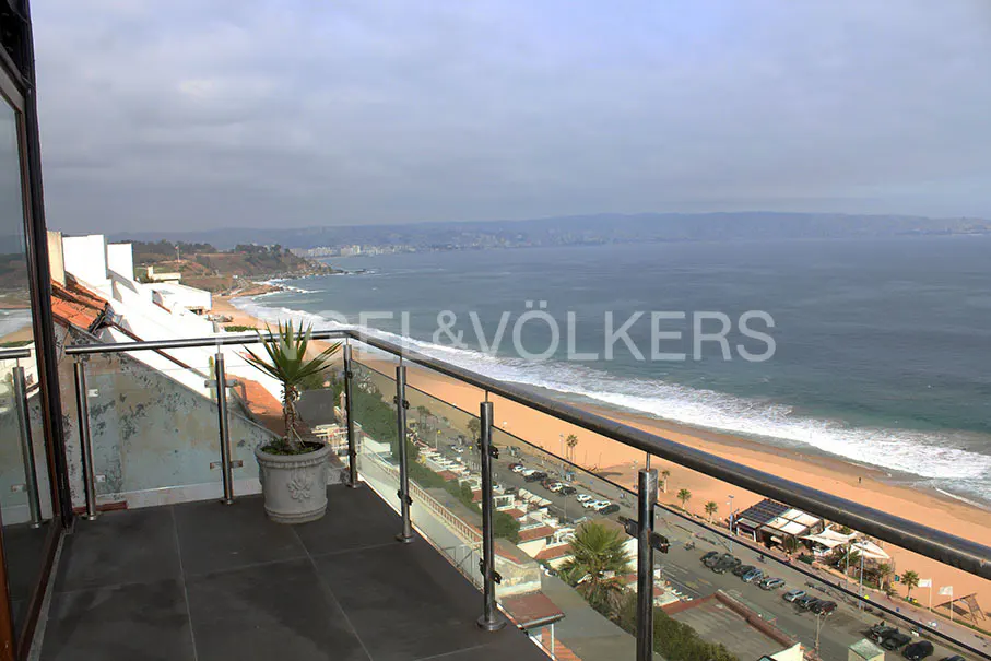 Balcony view of a sandy beach and ocean. A potted plant sits on the dark tiled balcony with a glass and steel railing.
