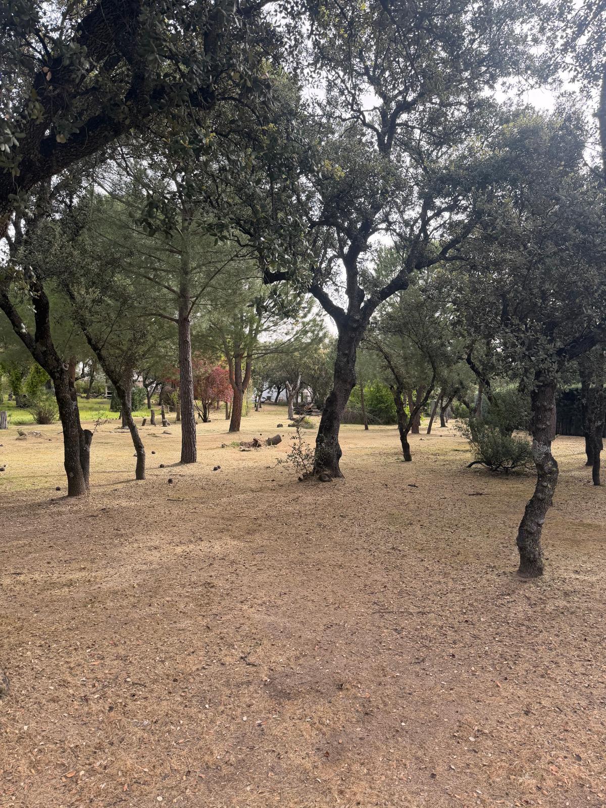 Spectacular plot in Villanueva de la Cañada