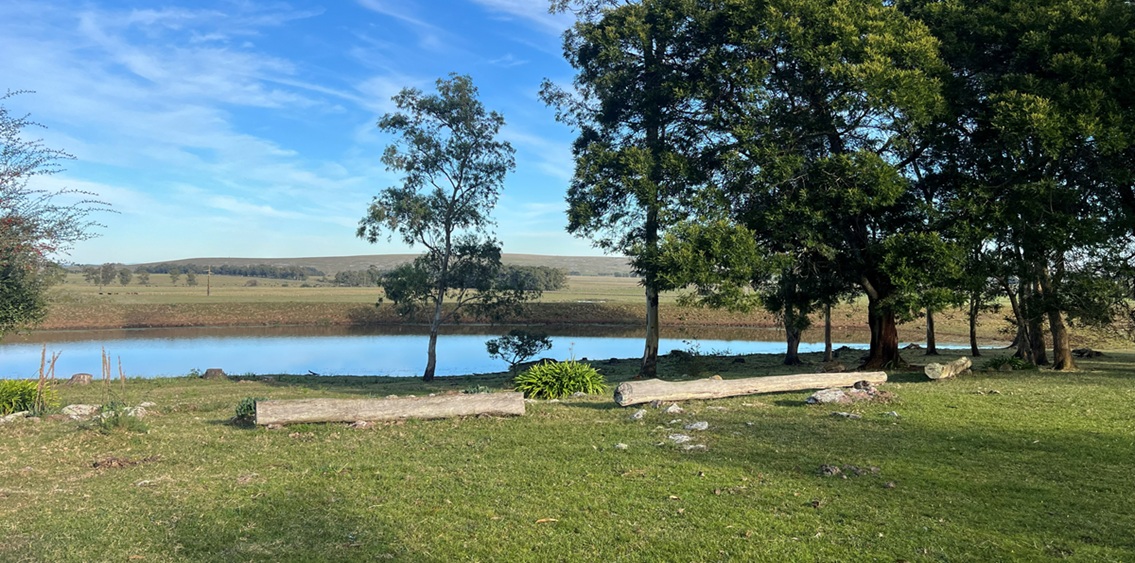 Cattle Farm for Sale in Rocha: On Route 15 with Complete Facilities