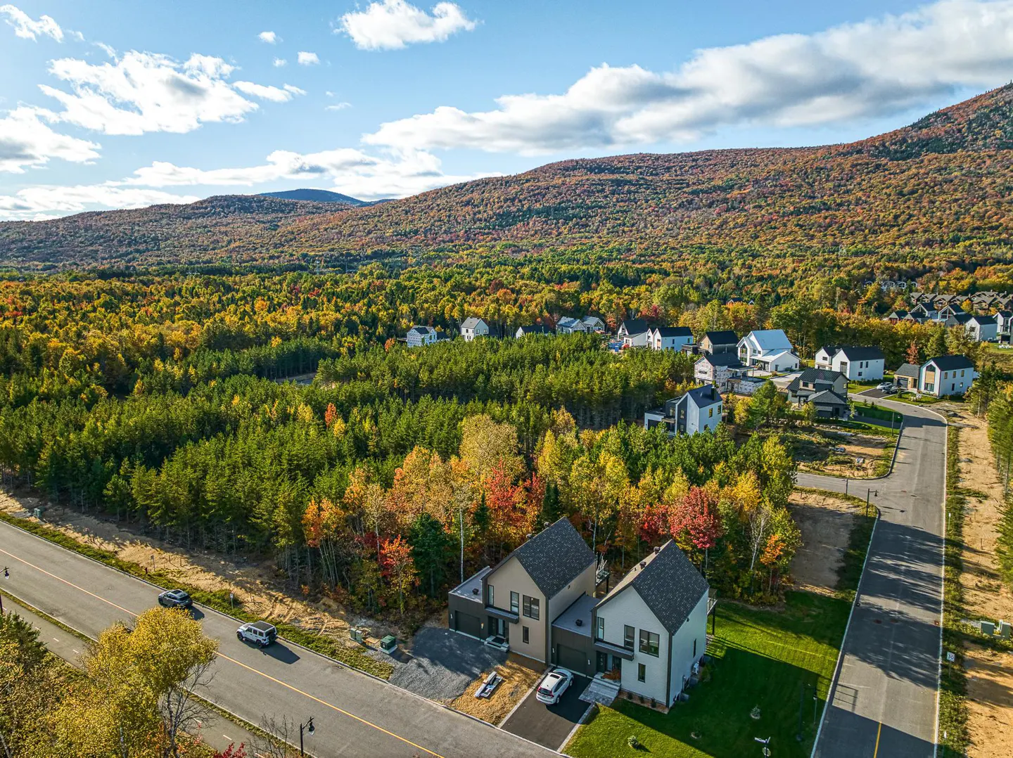 Aerial view of two modern homes with gray roofs, surrounded by colorful autumn trees and a mountain backdrop.