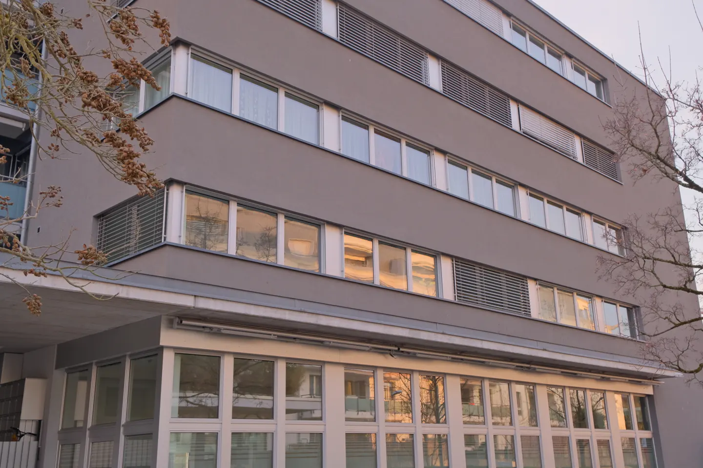Exterior of a gray, multi-story building with many windows reflecting the sky and trees.
