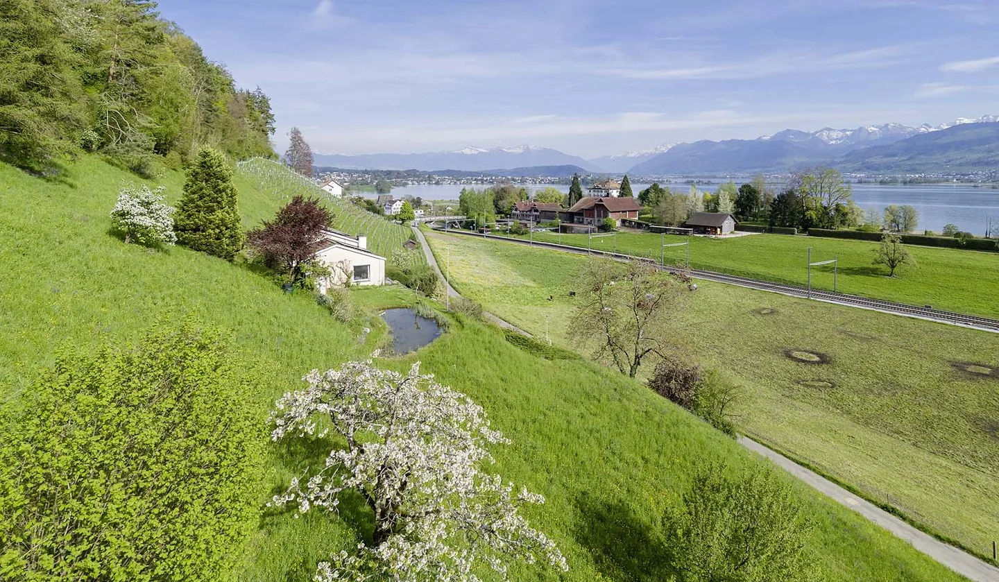 Panorama & privacy: Unique property on Lake Zurich